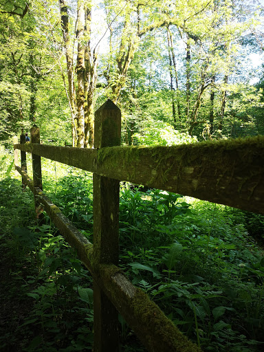 Cascade du Moulin de Vermondans - Thumbnail