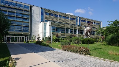 Özyeğin University