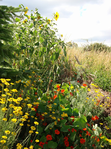 A Casa da Eira turismo rural Ribeira Sacra by null