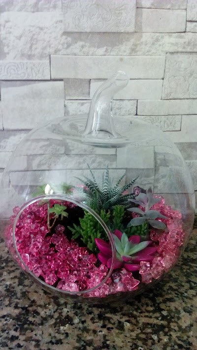 Photos of İlayda Floriculture