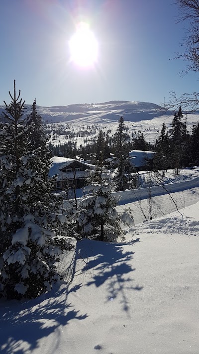 Photos of Vatle Lodge