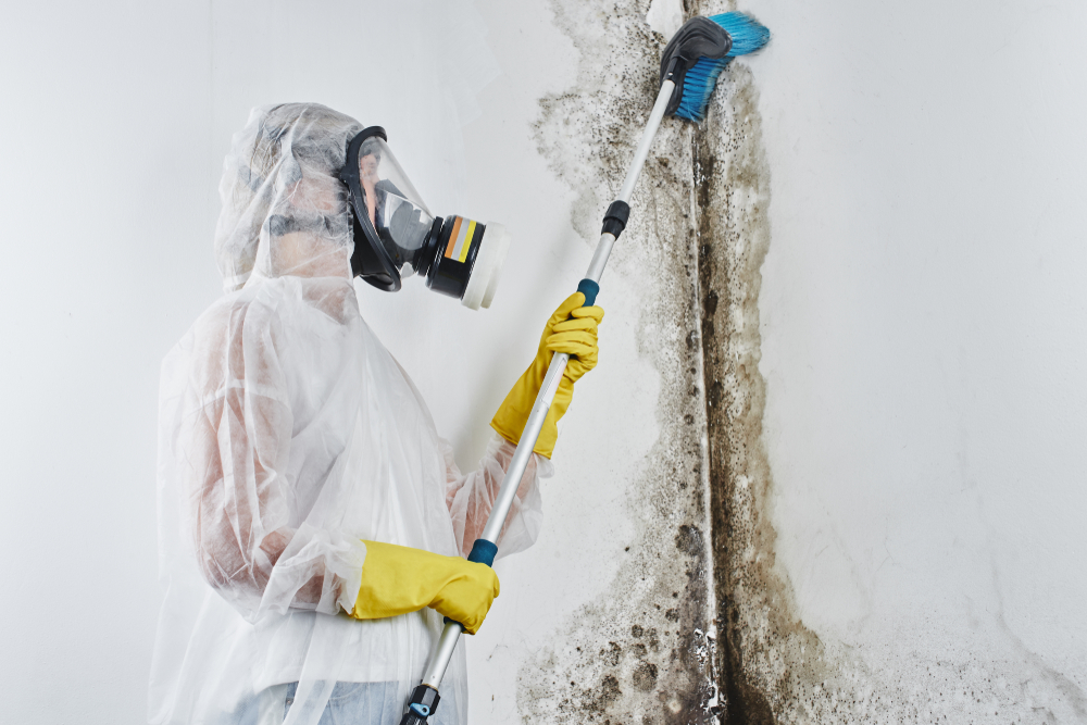 Mold Masters photo