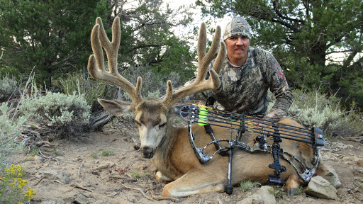 The Bow Shop Gallery - United States