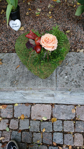 Blomsterbönan - Thumbnail