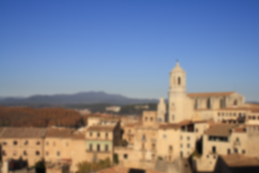 SIGTE: Servei de Sistemes d'Informació Geogràfica i Teledetecció - Universitat de Girona