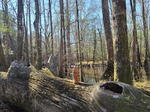 Turkey Creek Trail South Parking Lot - Thumbnail