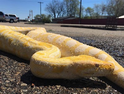 Idaho Reptile Zoo