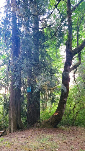 Menefee County Park - Thumbnail