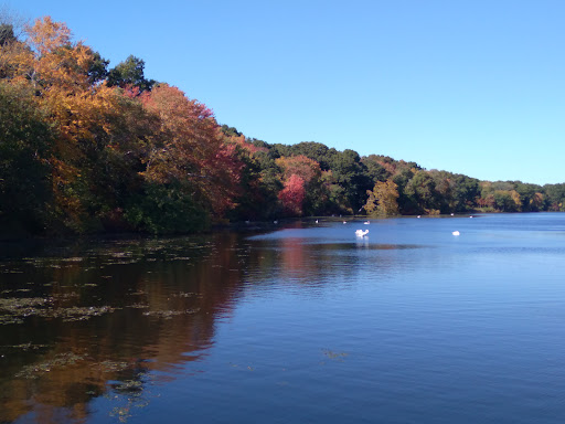 Central Pond Cross - Thumbnail