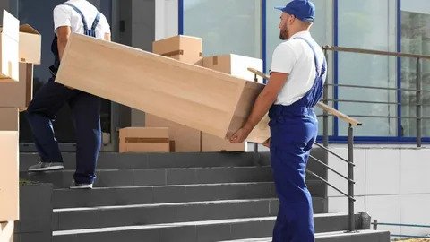 Bizzymoves Professional Movers - Visual