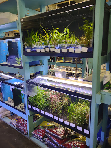 Reef Life Aquariums - Thumbnail