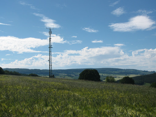 Kugeleiche - Visual