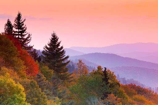 Ridgeline Consulting Services, LLC