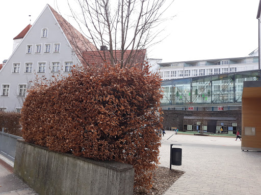 Suttschule - Visual
