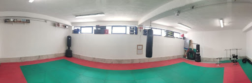 Dojo Gym - Visual