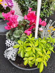 Photo n°9 de Mes AMEs en fleurs à Béthisy-Saint-Pierre (Fleuriste)