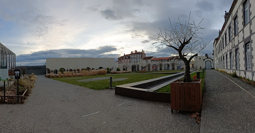 culture Garden - Thumbnail
