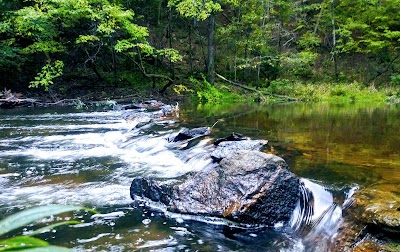 Pine Glen Campground