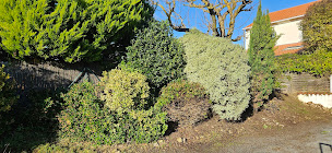 Photo n°8 de David LIME Multi Services Habitat / Extermination de nuisibles à Angoulins (Service d'extermination des nuisibles)