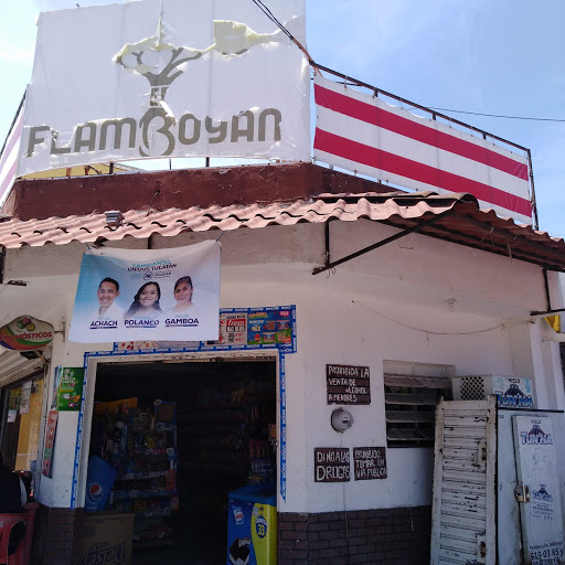 Flamboyan - Visual