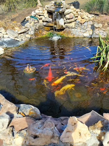 Rissho Kosei-Kai Buddhist Center of San Antonio Gallery - United States