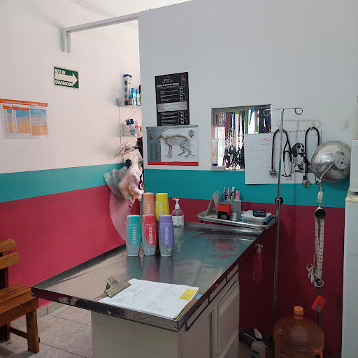 Peek Miss Consultorio Veterinario