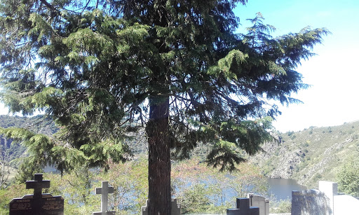 Cimetière de Saint-Victor sur Loire Gallery - France