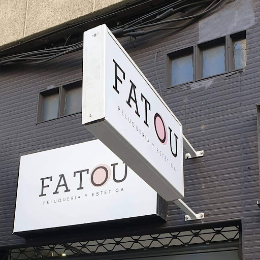 Fatou - Visual