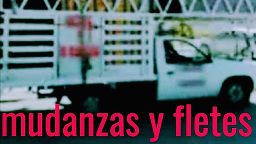 Fletes y Mudanzas Guadalajara