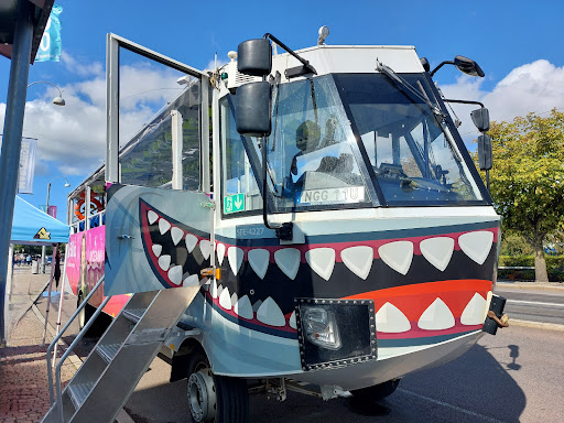 Oceanbus - Visual