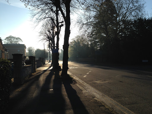 Berkeley Avenue - Visual