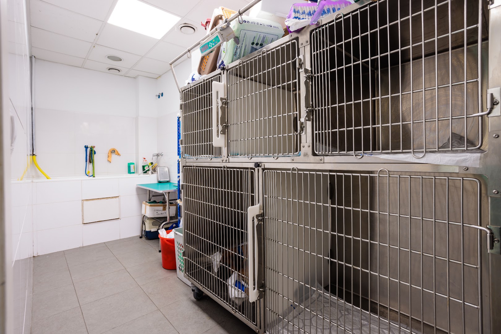 Clinica Veterinaria Tartanga UNAVETS Trapaga