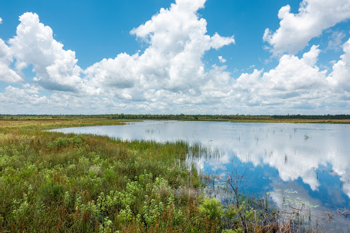 Buck Lake Conservation Area Logo