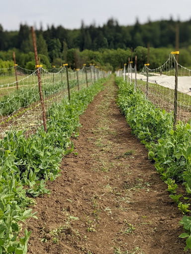 Agriculture Solutions LLC - Thumbnail