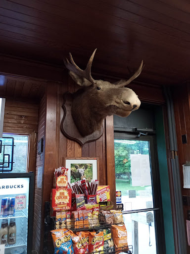Pine Tree Store - Visual
