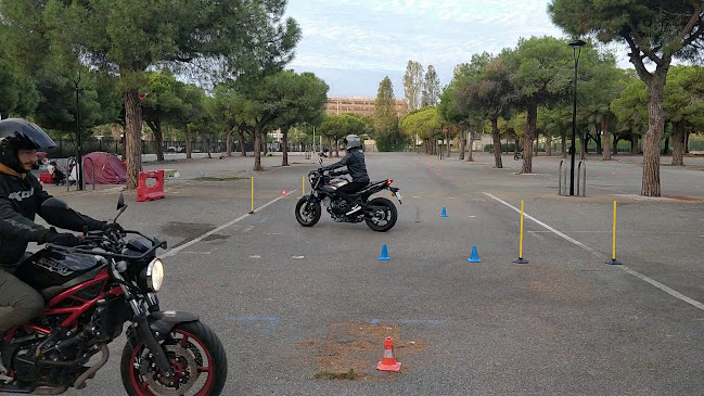 14 Rue Clément Roassal, 06000 Nice