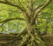 Sylvie Herledan Bilan de Vie et Orientation à Quimperlé