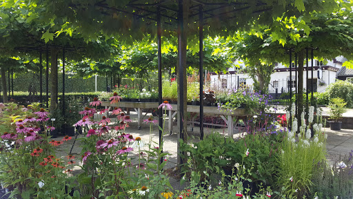 Tuincentrum Tullekensmolen - Thumbnail