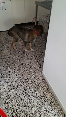 ΚΑΡΑΓΕΩΡΓΙΟΥ ΜΑΡΙΝΑ ΑΝΑΣΤΑΣΙΑ