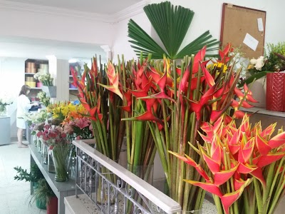 Photos of Flores express