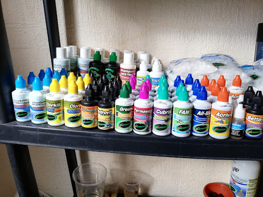 Acuario paseos del mar