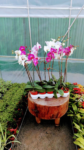 Jardín Víctoria - Centro de jardinería