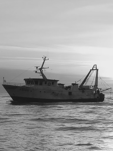 M/P TIRPITZ - Visual