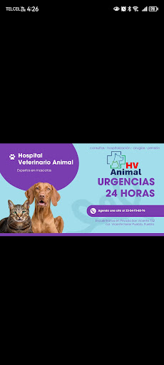 HV ANIMAL