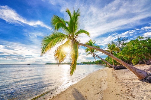 A3 Travel Group with Dream Vacations - Thumbnail