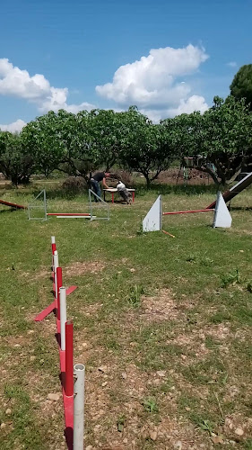 Opinii despre Centre canin du Mas des Crozes în Millau - Dresseur pour chiens