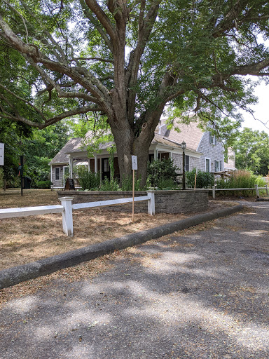 Lower Cape Veterinary Services - Eastham Gallery - United States
