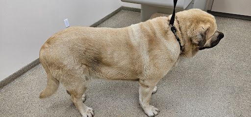 West Central Veterinary Services - Veedersburg - Thumbnail