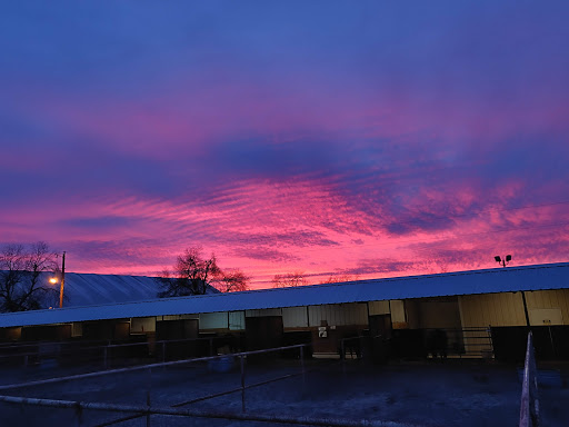RTM RANCH - Visual