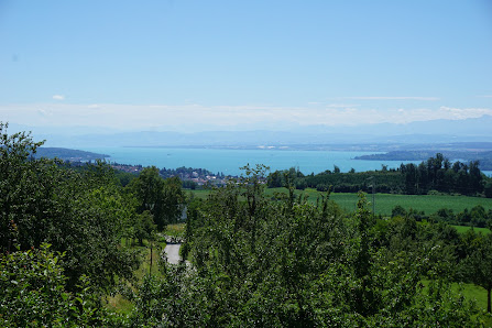 Hof Höllwangen eG Demeterhof - Überlingen